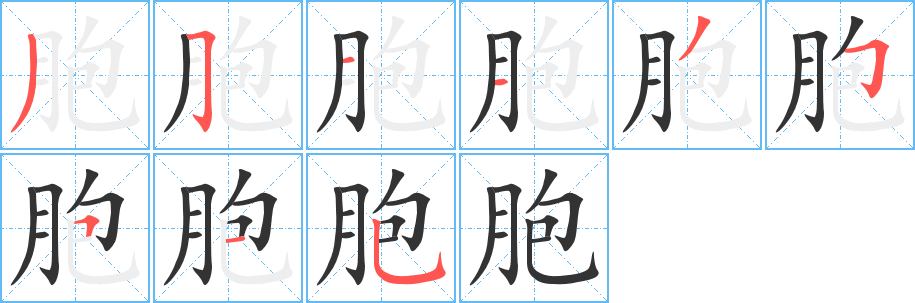 胞字笔画写法