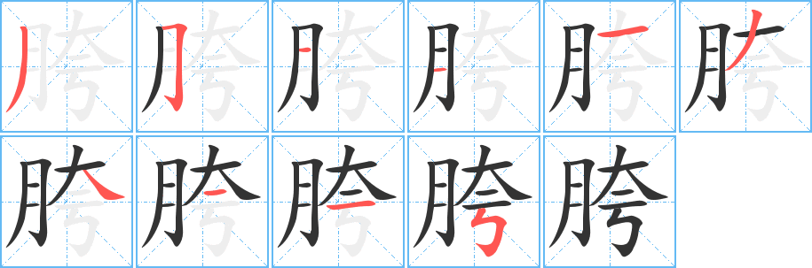 胯字笔画写法