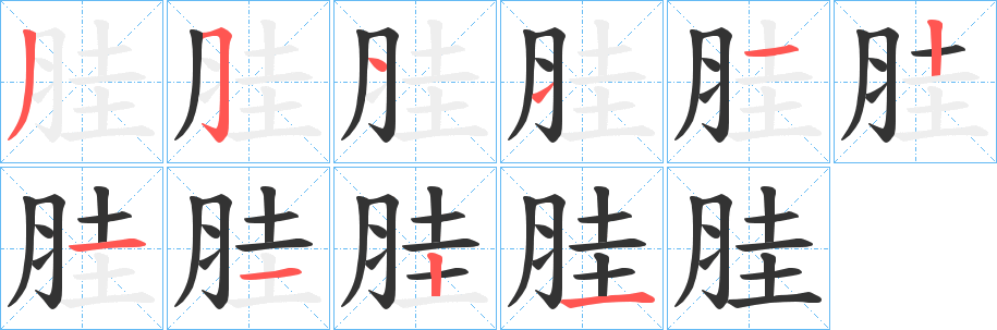 胿字笔画写法