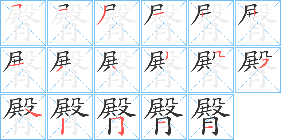 臀字笔画写法