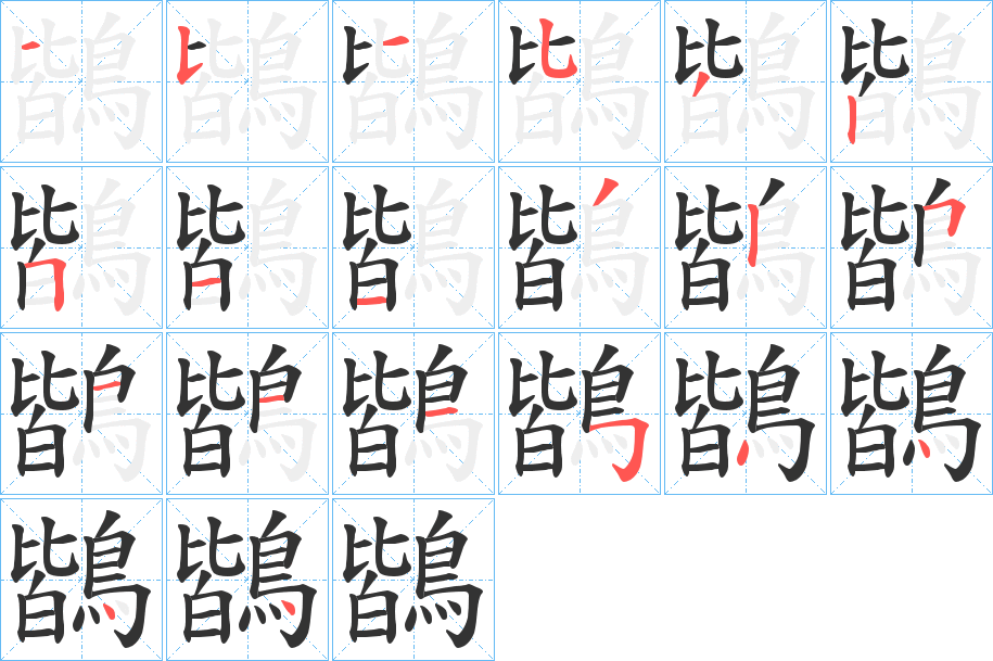 鶛字笔画写法